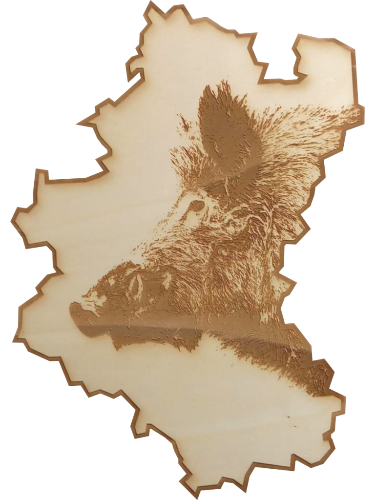 Gravure PROVINCE DU LUXEMBOURG