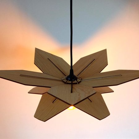 Suspension PENTAPTERA 55