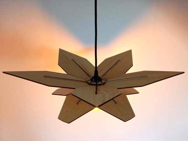 Suspension PENTAPTERA 55